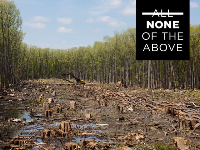 Biomass energy field