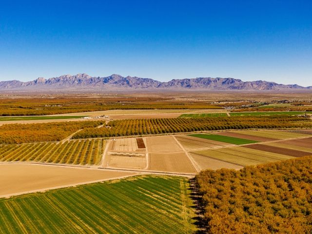 Crop fields in Las Cruces, NM