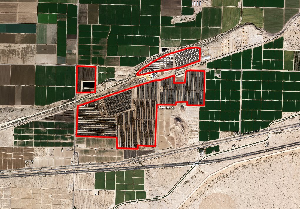 e.coli feedlot